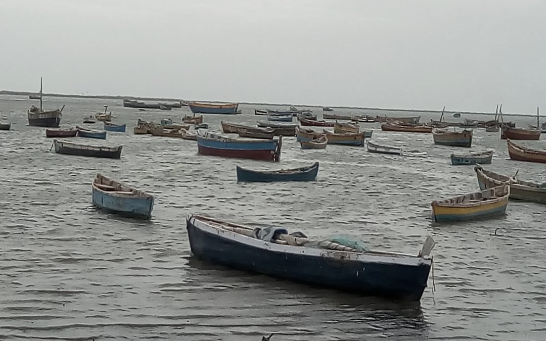 Rameswaram fishing boats