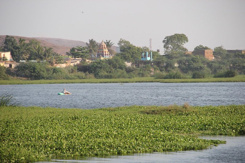 Ambattur Eri, a rain-fed reservoir, which fills up after a good Northeast Monsoon