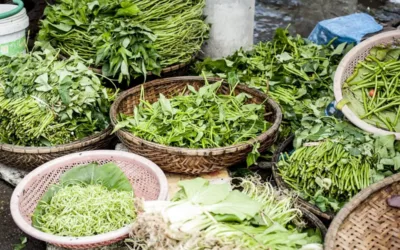 Have greens everyday to keep diseases at bay