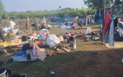 Other states’ tribal folk forced into ‘bonded labour’ in TN