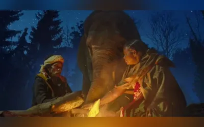 Whispering to elephants is part of tribal life in The Nilgiris