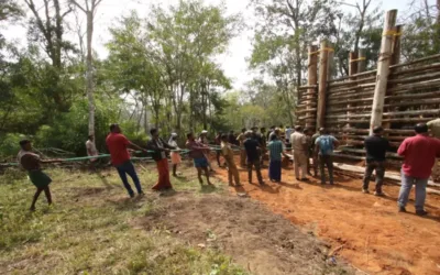 Kerala farmers oppose leaving ‘problem’ elephants in wild