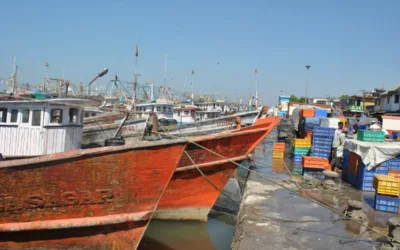 Fishing ban an opportunity for TN fishers in Karnataka