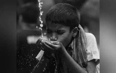 TN must speed up heat action plan amid heatwave alert