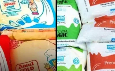 Amul vs Aavin: prelude to a desi milk monopoly?