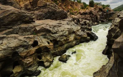 Mekedaatu dam will not hurt TN’s interests, insists DKS